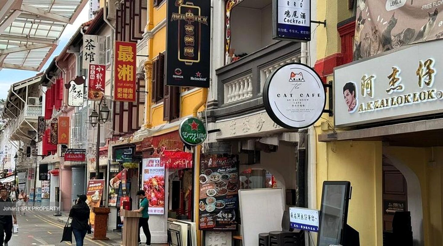 CHINATOWN MRT STATION (DT19) (D1), Shop House #572075431